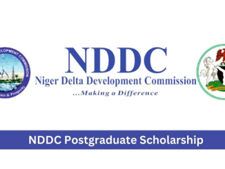 nddc scholarship 2024